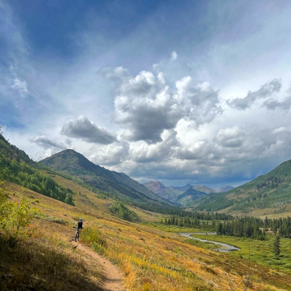 Meet your Posher, Annie